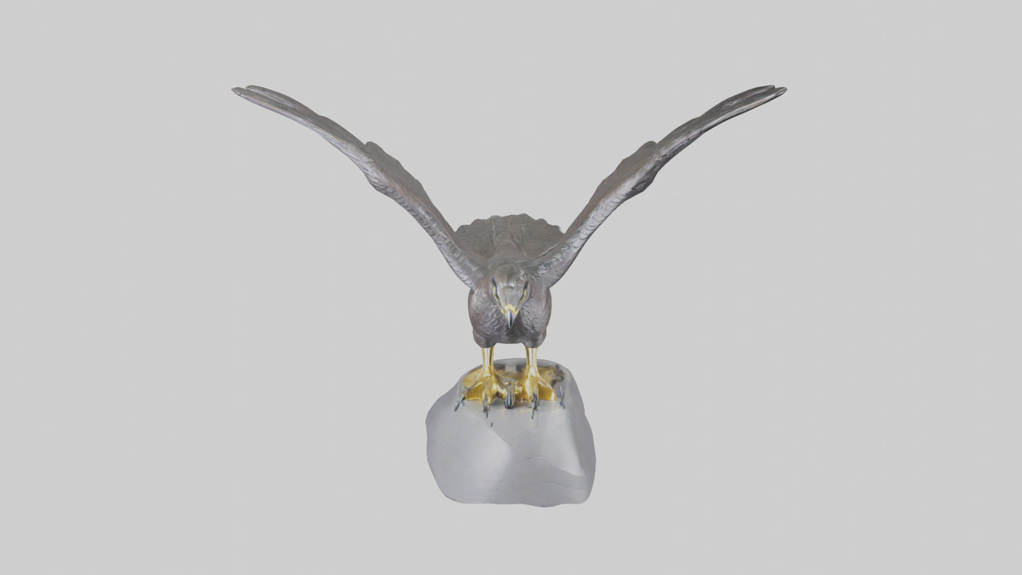 Harrier Hawk statue model VR / AR / low-poly