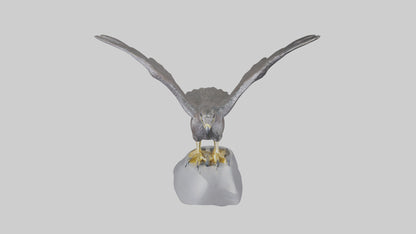 Harrier Hawk statue model VR / AR / low-poly