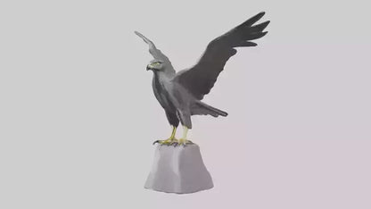 Harrier Hawk statue model VR / AR / low-poly