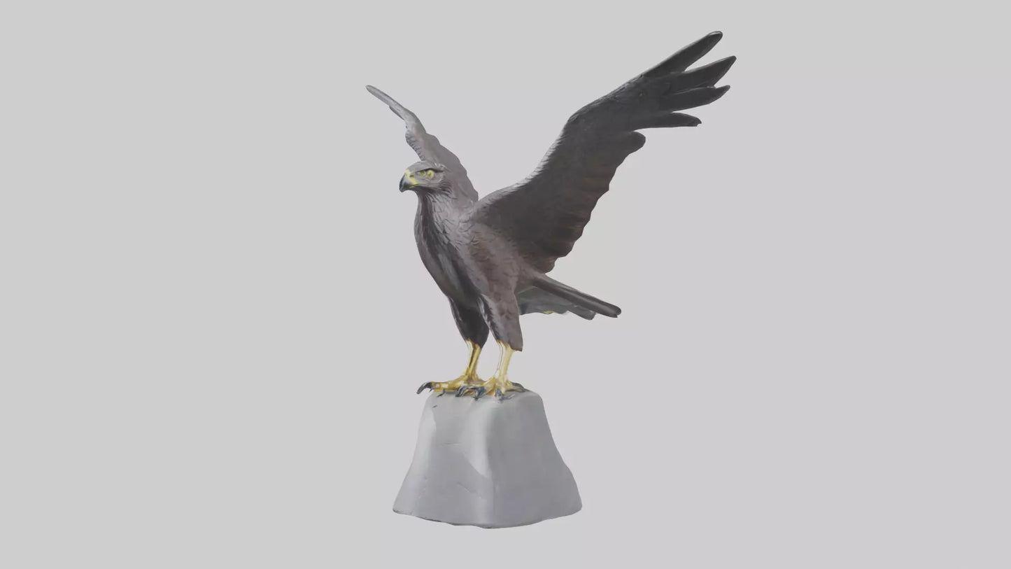 Harrier Hawk statue model VR / AR / low-poly