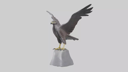 Harrier Hawk statue model VR / AR / low-poly