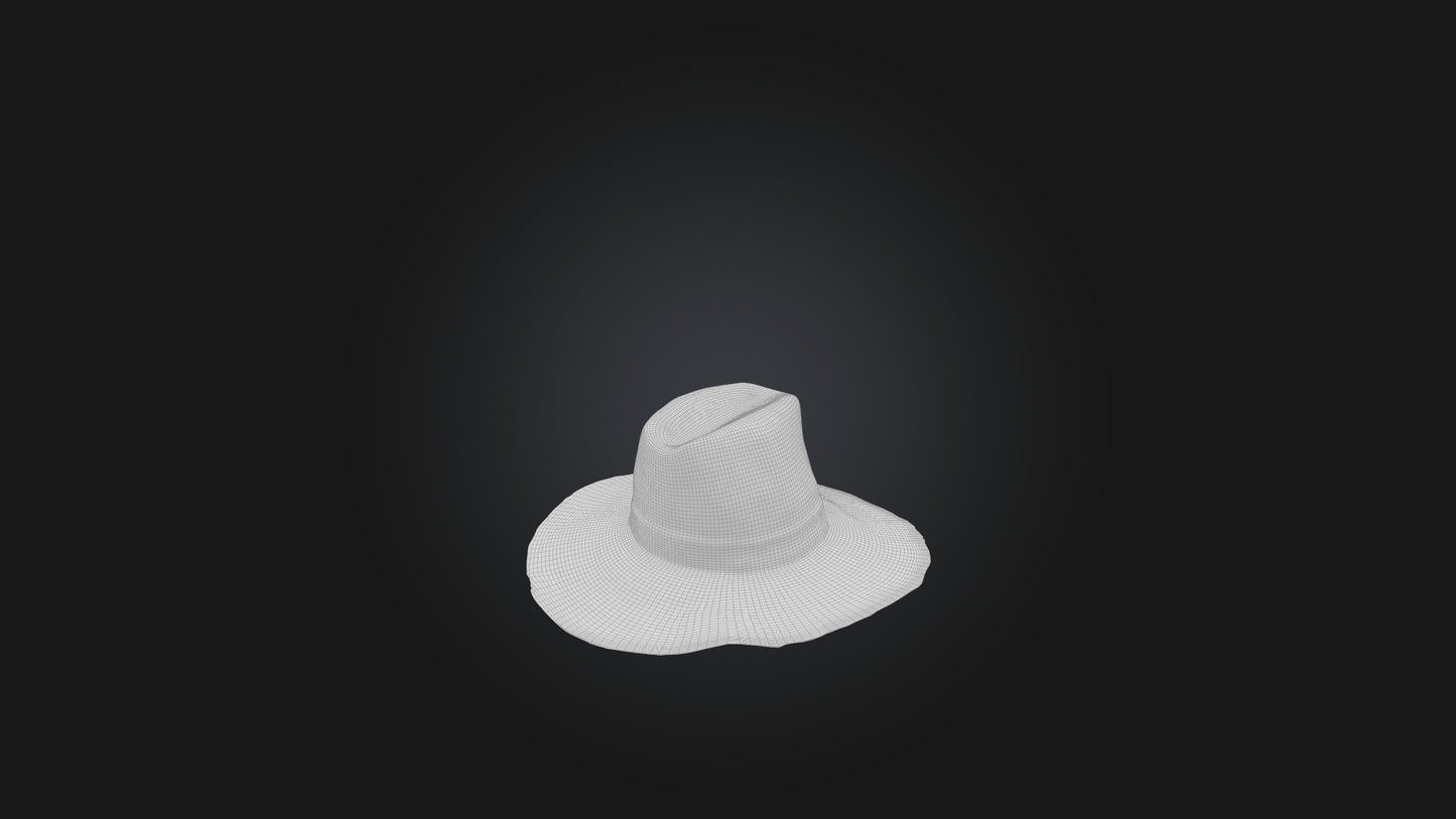 hat model 3D model