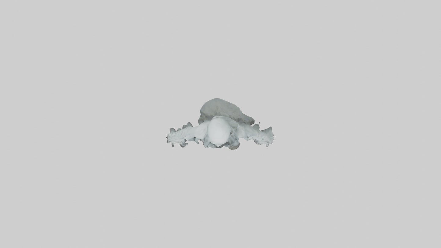 3D model Haunted ghost model VR / AR / low-poly