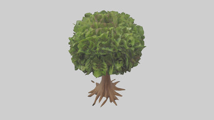3D model Hawaii Hala tree model VR / AR / low-poly
