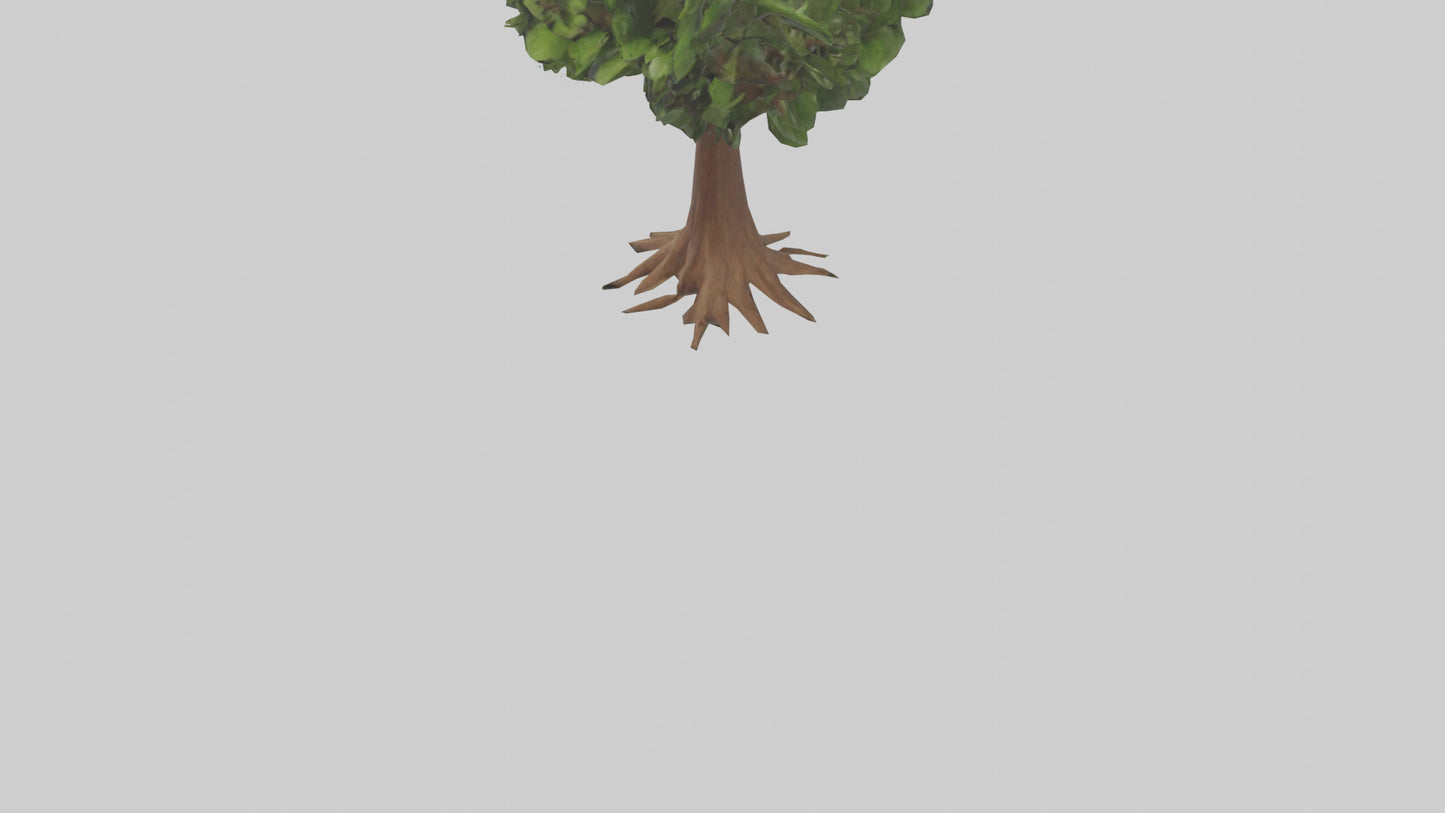 3D model Hawaii Hala tree model VR / AR / low-poly