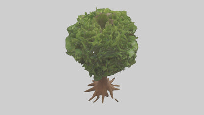 3D model Hawaii Hala tree model VR / AR / low-poly