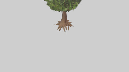 3D model Hawaii Hala tree model VR / AR / low-poly