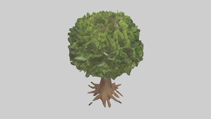 3D model Hawaii Hala tree model VR / AR / low-poly