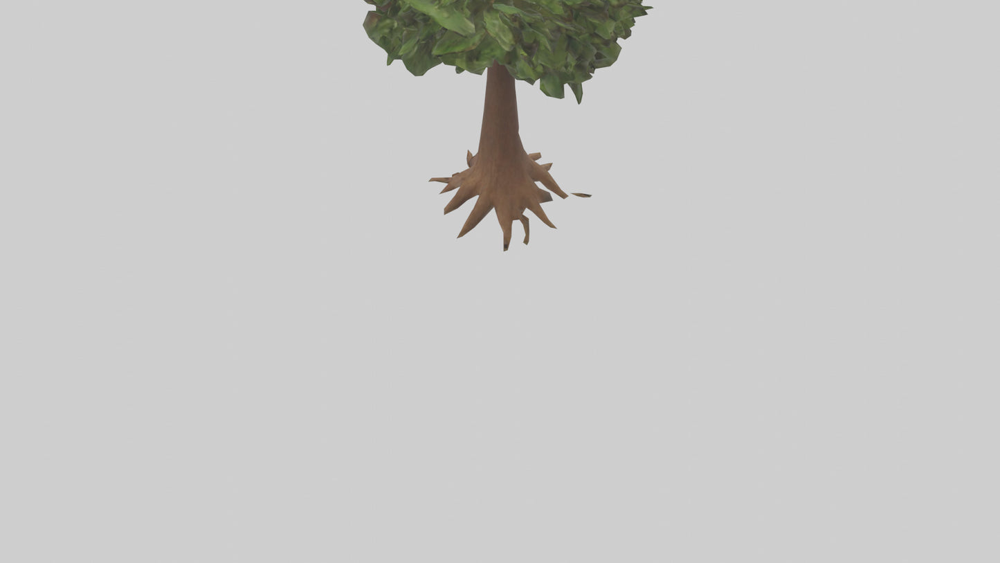 3D model Hawaii Hala tree model VR / AR / low-poly
