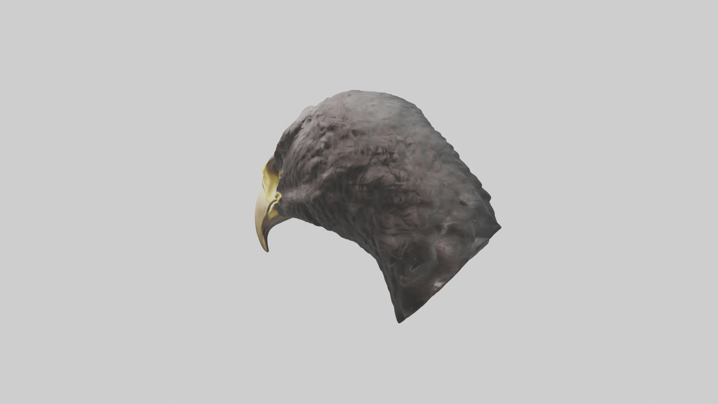 3D model Hawk Beak Model VR / AR / low-poly