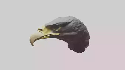 3D model Hawk Beak Model VR / AR / low-poly