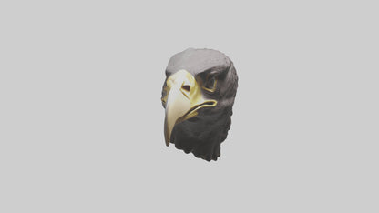 3D model Hawk Beak Model VR / AR / low-poly