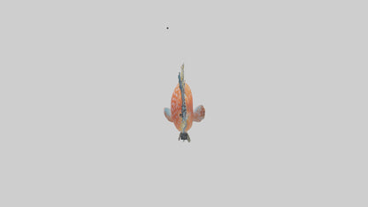 3D model Hawkfish perched on coral model VR / AR / low-poly