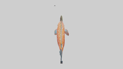 3D model Hawkfish perched on coral model VR / AR / low-poly