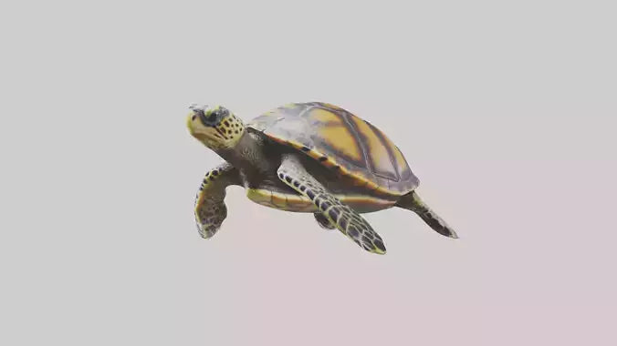 Hawksbill Turtle statue model VR / AR / low-poly