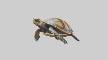 Hawksbill Turtle statue model VR / AR / low-poly
