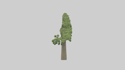3D model Hazel tree model VR / AR / low-poly