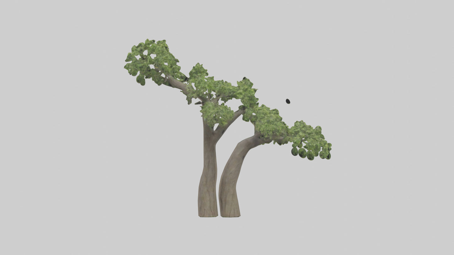 3D model Hazel tree model VR / AR / low-poly