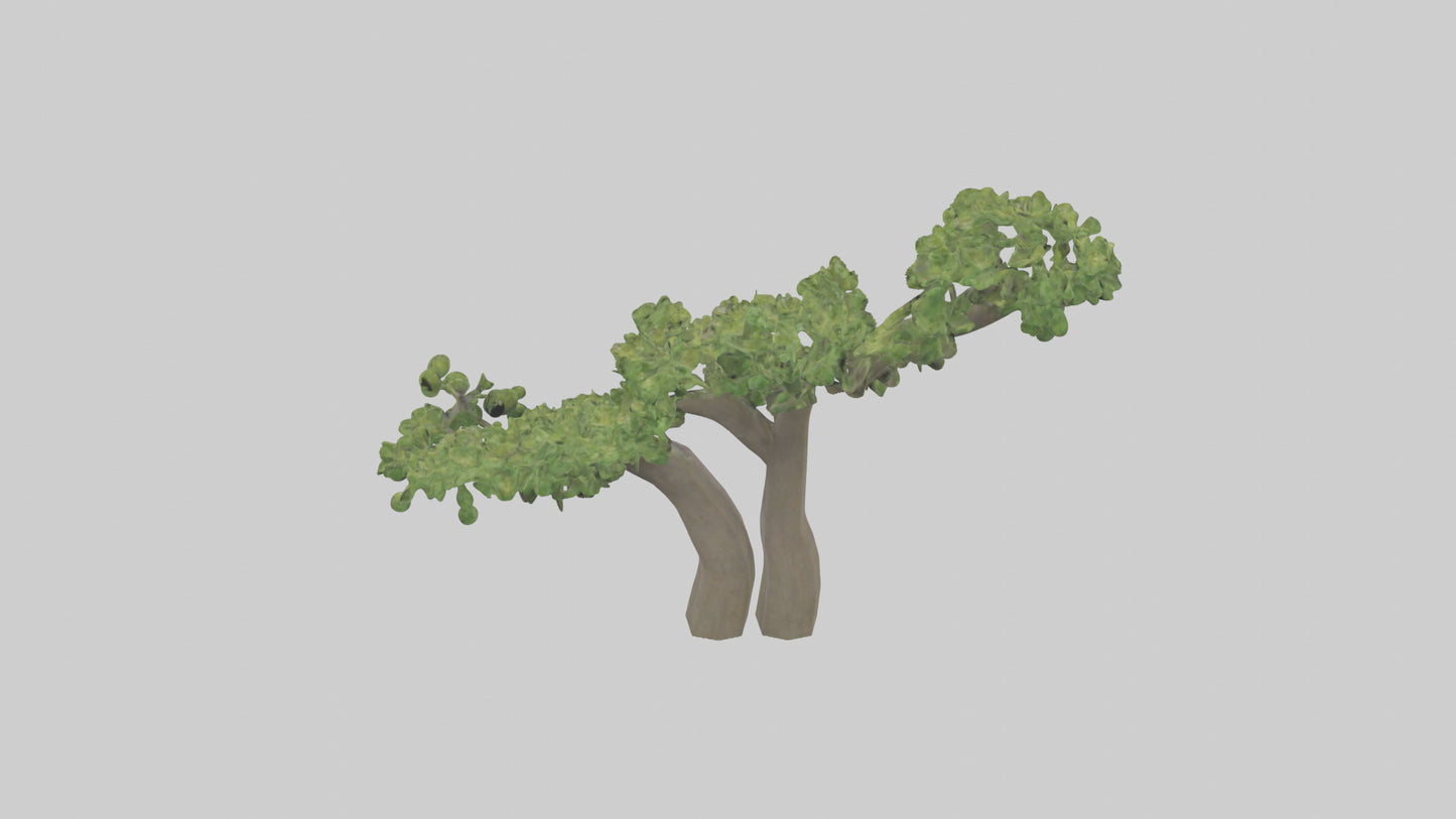 3D model Hazel tree model VR / AR / low-poly
