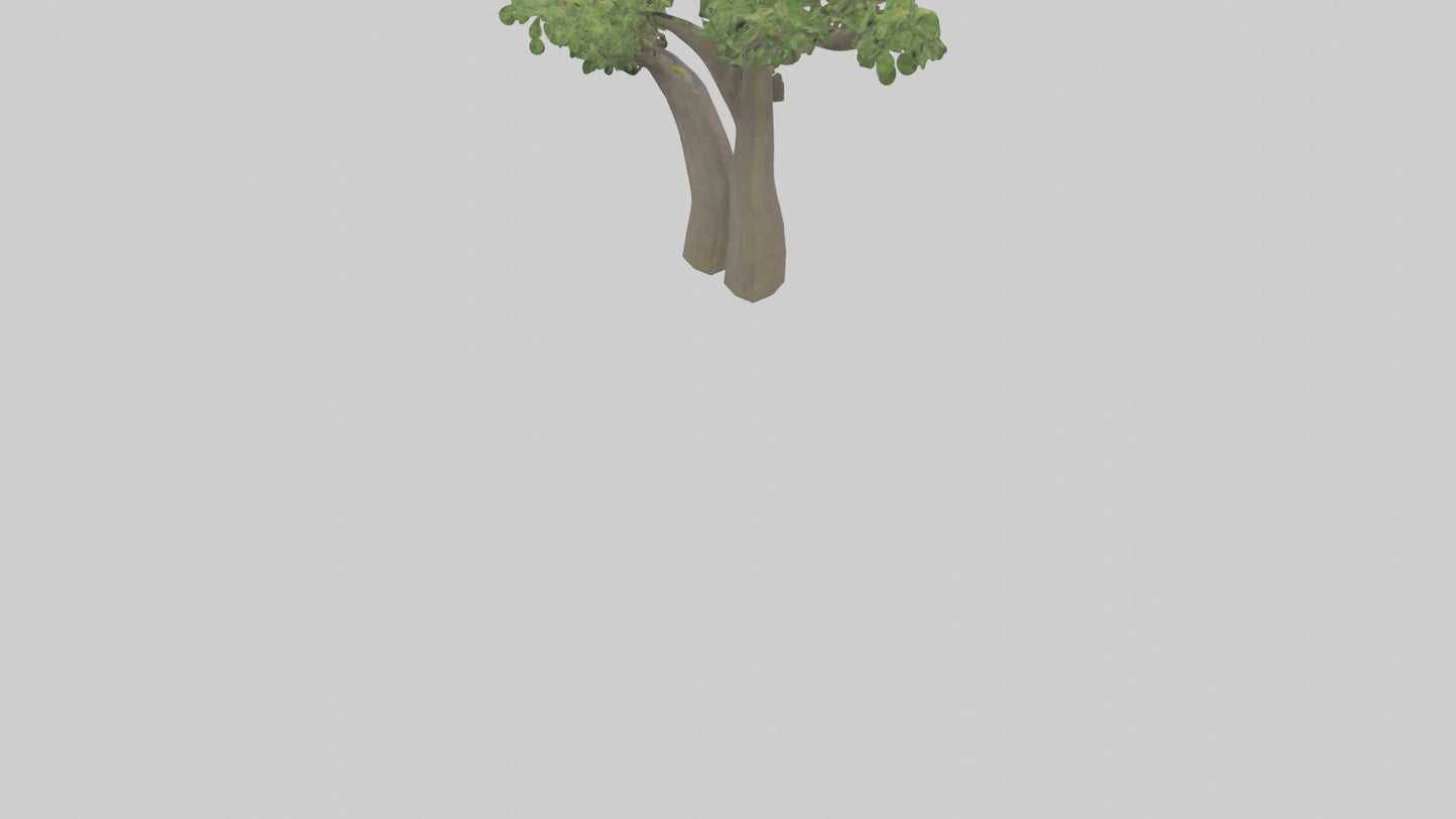 3D model Hazel tree model VR / AR / low-poly