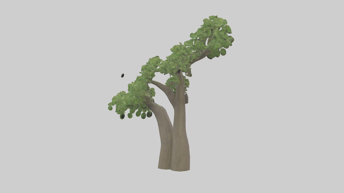 3D model Hazel tree model VR / AR / low-poly