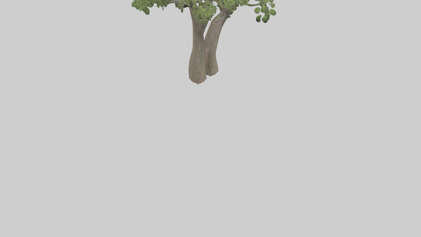 3D model Hazel tree model VR / AR / low-poly