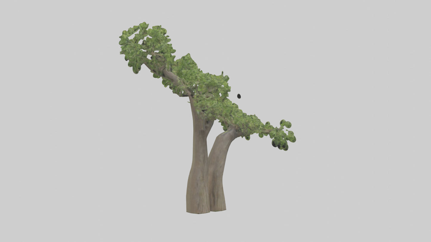 3D model Hazel tree model VR / AR / low-poly