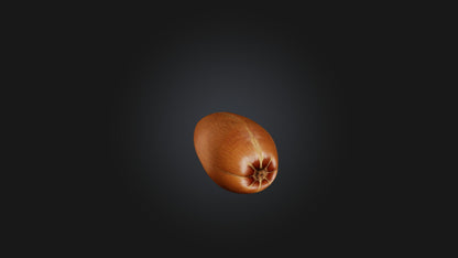 3D model Hazelnut Model VR / AR / low-poly