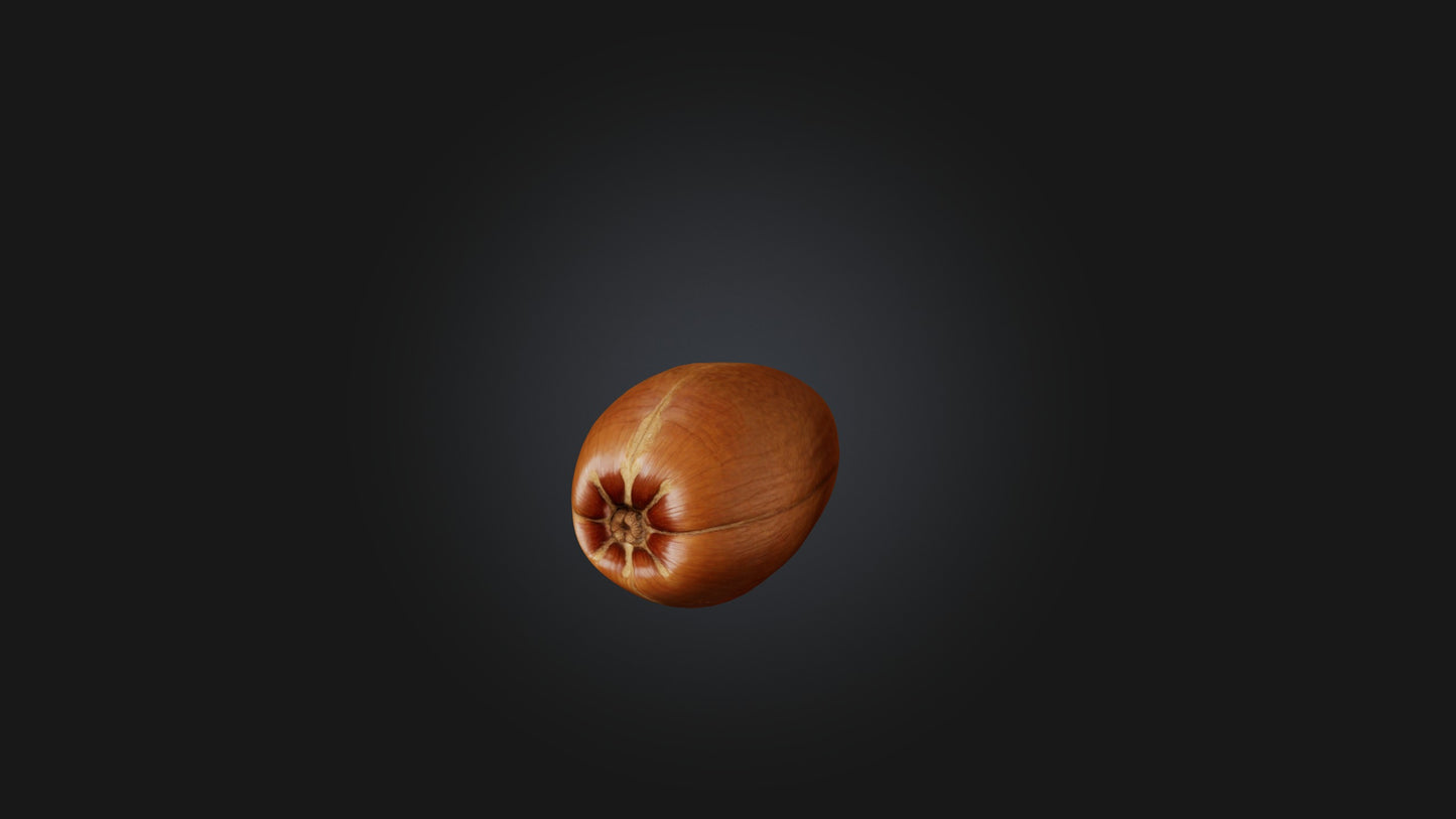 3D model Hazelnut Model VR / AR / low-poly