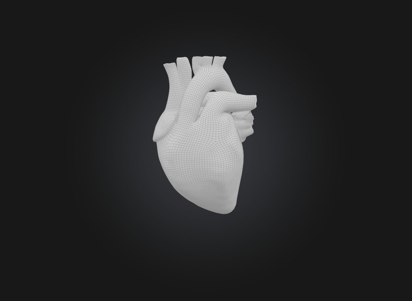 3D model heart organ model VR / AR / low-poly