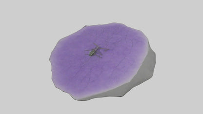 3D model Heliotrope model VR / AR / low-poly