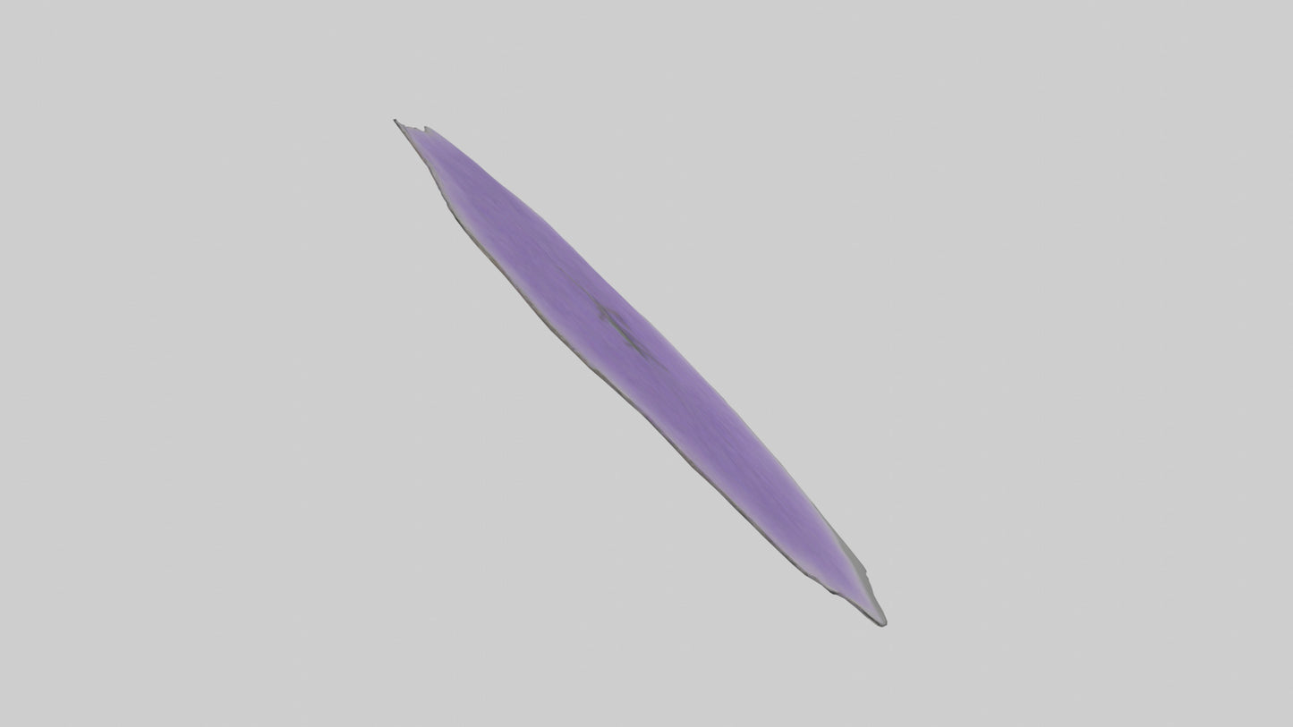 3D model Heliotrope model VR / AR / low-poly