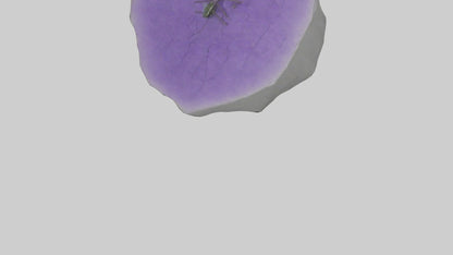 3D model Heliotrope model VR / AR / low-poly