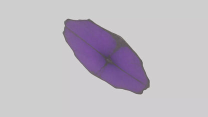 3D model Heliotrope model VR / AR / low-poly