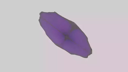 3D model Heliotrope model VR / AR / low-poly