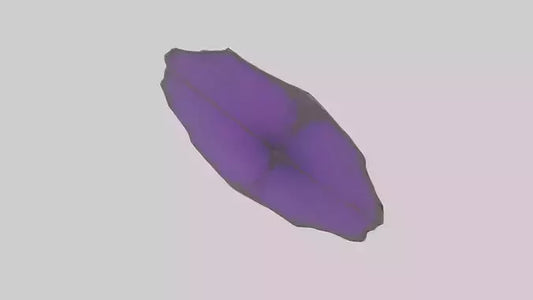 3D model Heliotrope model VR / AR / low-poly