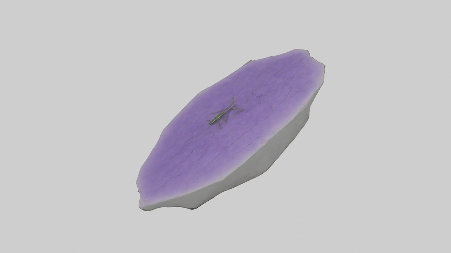 3D model Heliotrope model VR / AR / low-poly