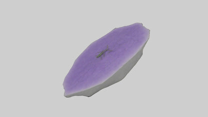 3D model Heliotrope model VR / AR / low-poly