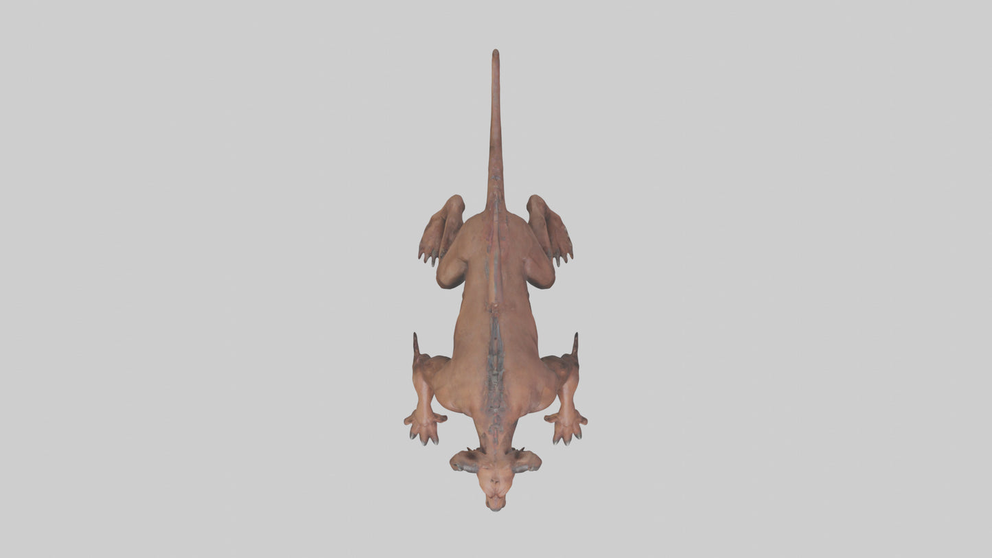 Hell Hound model VR / AR / low-poly
