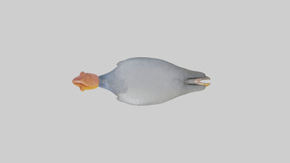 3D model Helmeted Guinea Fowl scratching model VR / AR / low-poly