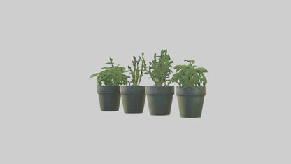 3D model Herb Pots model VR / AR / low-poly