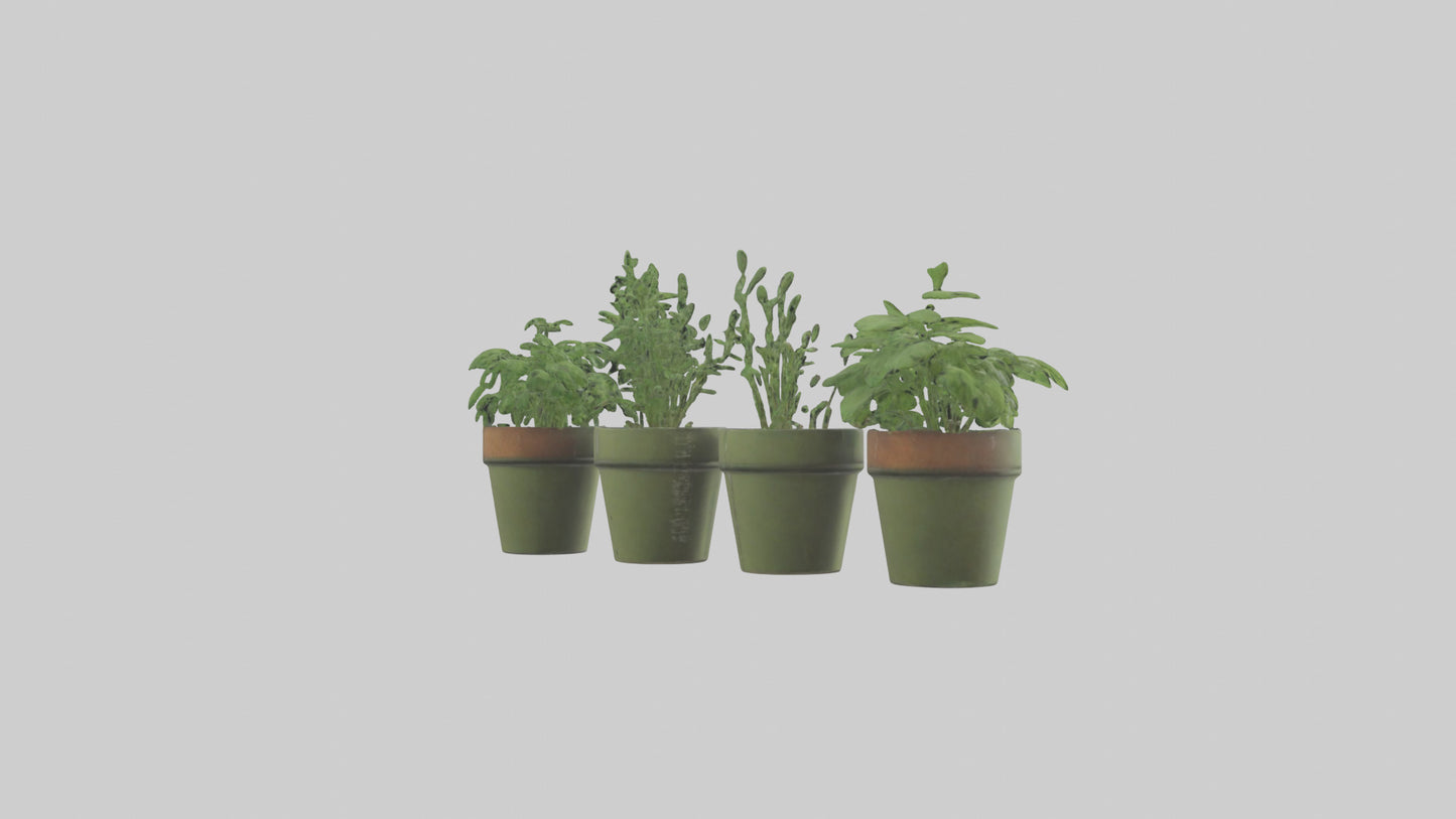 3D model Herb Pots model VR / AR / low-poly