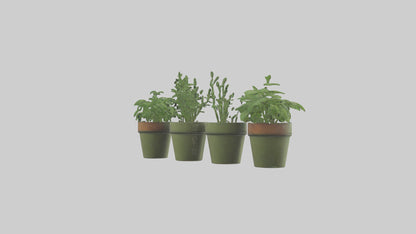 3D model Herb Pots model VR / AR / low-poly