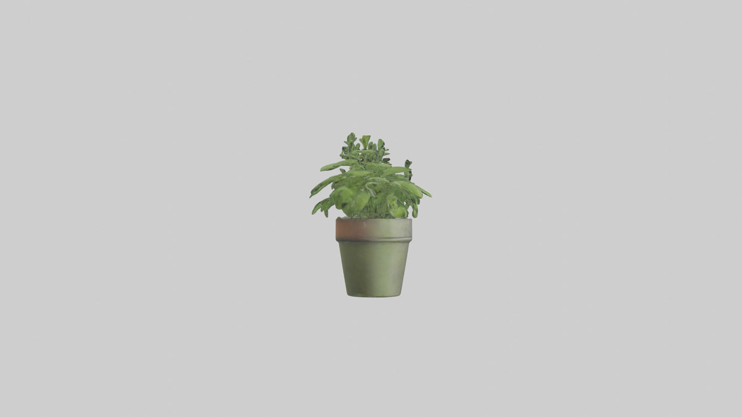 3D model Herb Pots model VR / AR / low-poly