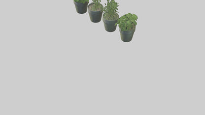 3D model Herb Pots model VR / AR / low-poly