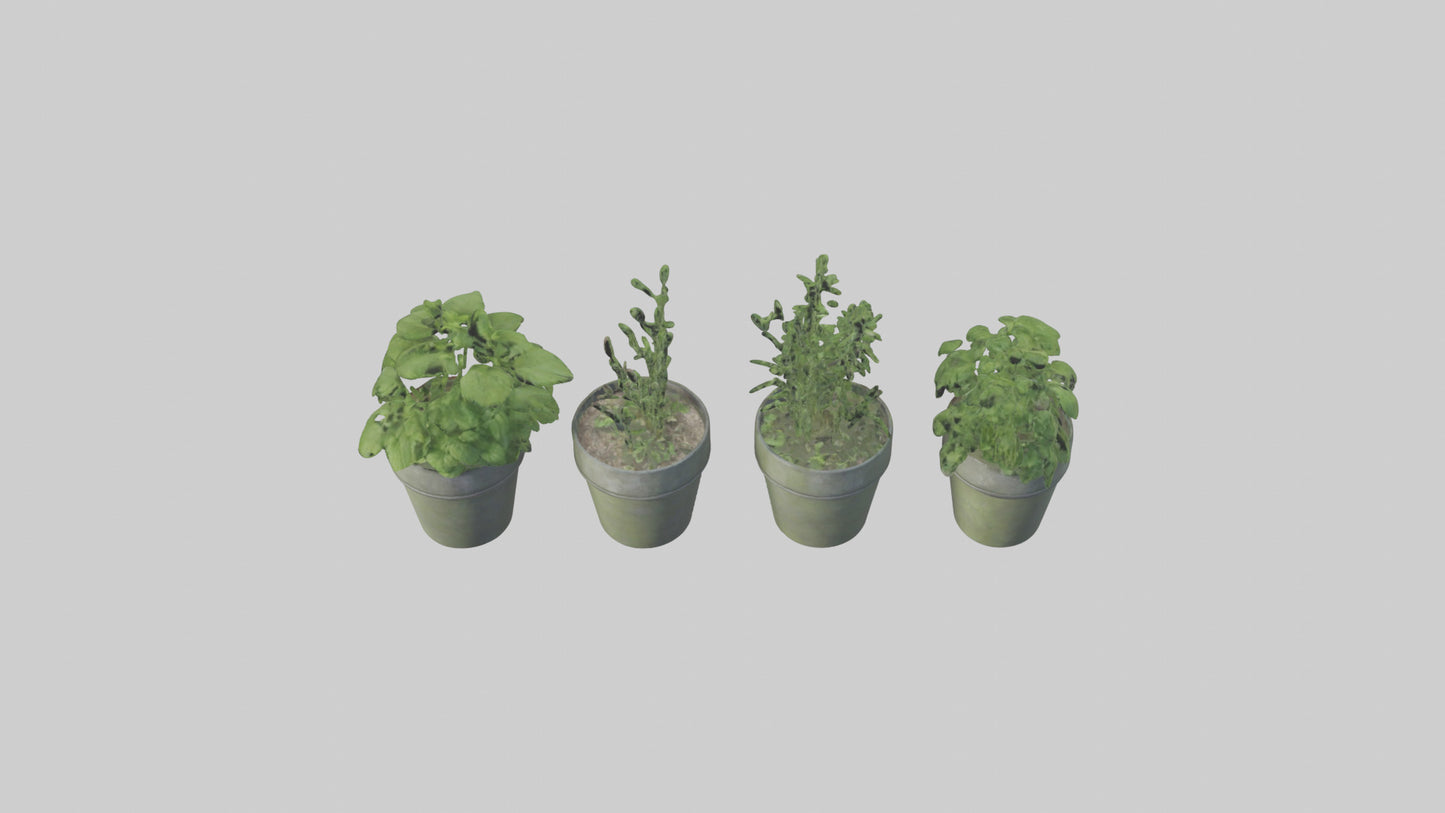 3D model Herb Pots model VR / AR / low-poly
