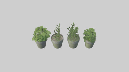 3D model Herb Pots model VR / AR / low-poly
