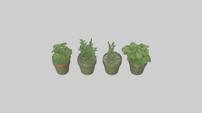 3D model Herb Pots model VR / AR / low-poly