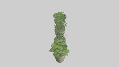 3D model Herb Pots model VR / AR / low-poly