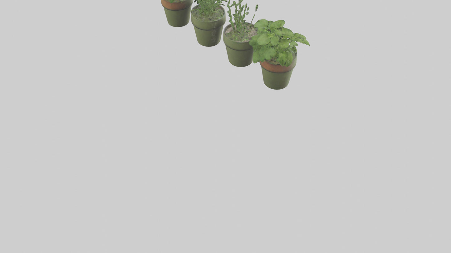 3D model Herb Pots model VR / AR / low-poly